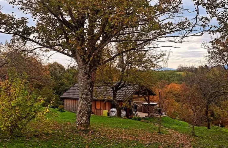 Wellness House Johanca