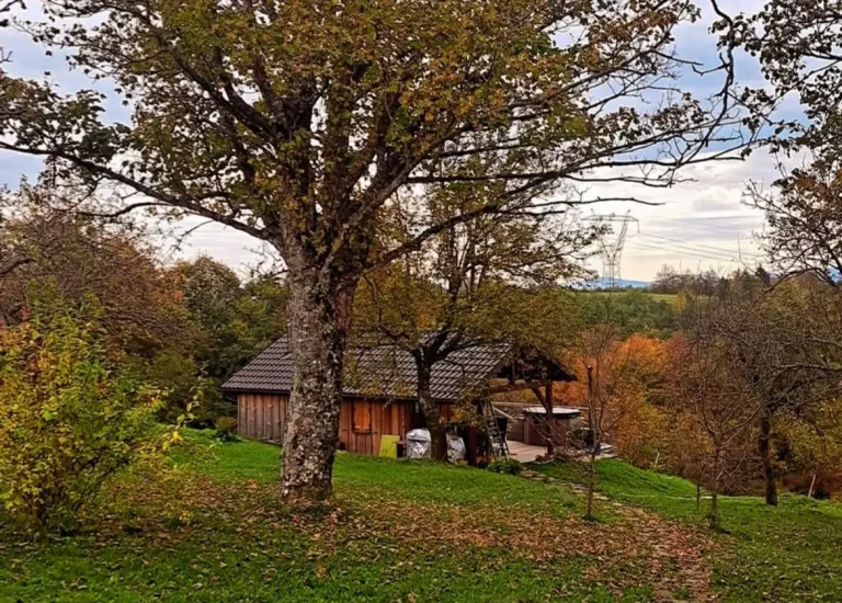 Wellness House Johanca
